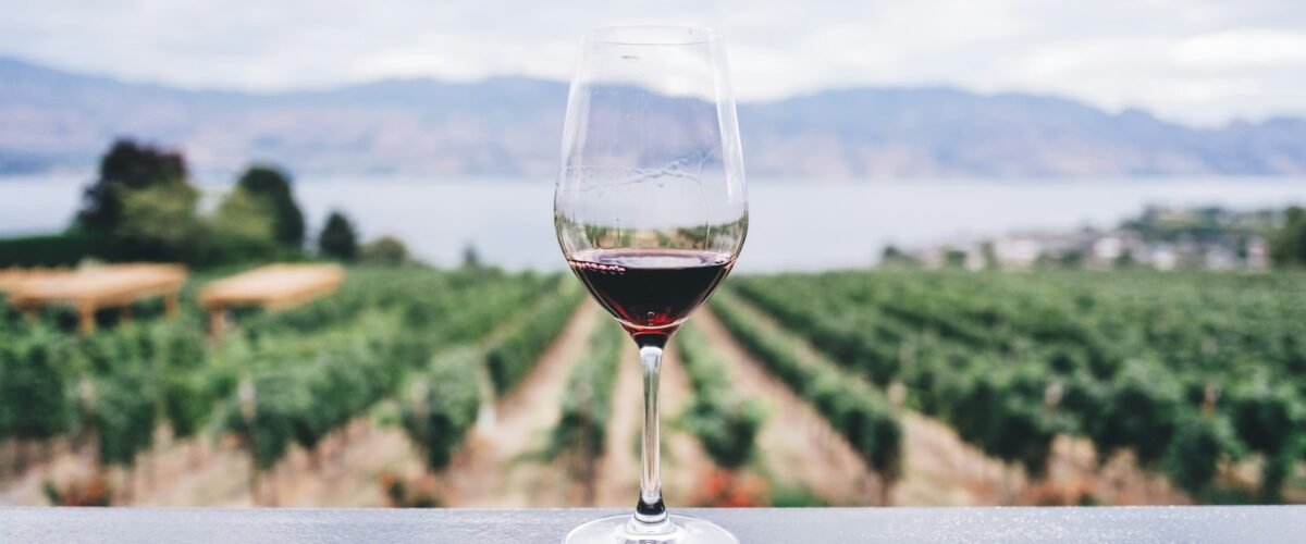 Is Organizing Wine Tasting Tours good business venture?